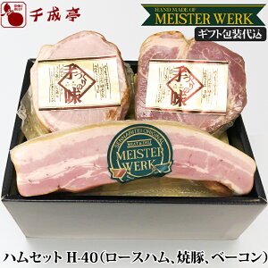 yMtg㍞zu}CX^[xN nZbg H-40v ij wj Mtg v[g j j Ԃ