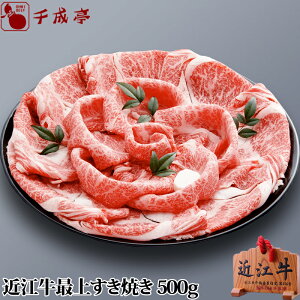 uߍ] ŏ Ă 500gva Y Ă  ~  uh   Ε Ε ~Mtg 2025 O Mtg v[g  j j 