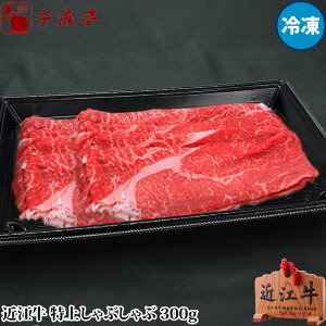 uߍ]  Ԃ 300g Ⓚva Y Ԃԗp  Ԑg ~ XCX  uh   Ε Ε ~Mtg 2025 O Mtg v[g  j