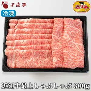 uߍ] ŏ Ԃ 300g Ⓚva Y Ԃԗp  ~ XCX  uh   Ε Ε ~Mtg 2025 O Mtg v[g  j 