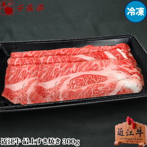 uߍ] ŏ Ă 300g Ⓚva Y Ă  ~  uh   Ε Ε ~Mtg 2025 O Mtg v[g  j j 