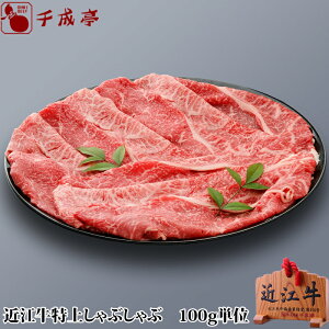 uߍ]  Ԃ 100gPʁva Y Ԃԗp  Ԑg ~ XCX  uh   Ε Ε ~Mtg 2025 O Mtg v[g  j