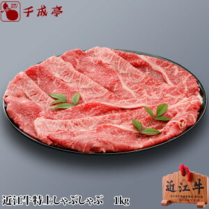 uߍ]  Ԃ 1kgva Y Ԃԗp  Ԑg ~ XCX  uh   Ε Ε ~Mtg 2025 O Mtg v[g  j 