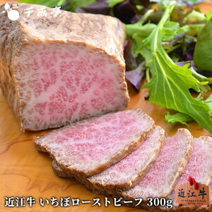 uߍ] v~A [Xgr[t wځx 300gubNva Y  uh   Ε Ε ~Mtg 2025 NX}X p[eB[ O Mtg v[g  