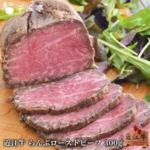 uߍ] v~A [Xgr[t wՁx 300gubNv a Y  uh   Ε Ε ~Mtg 2025 NX}X p[eB[ O Mtg v[g 