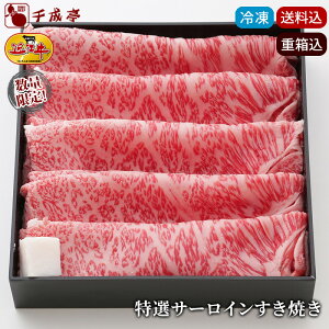 Ε 2025 ~Mtg ߍ]ỷl IT[C Ă Mtg 500g Ⓚz݁ba    Ε v[g j j