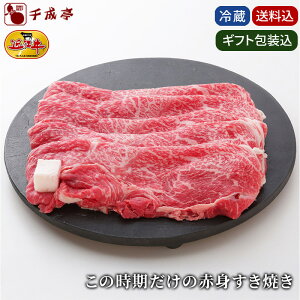 Ε 2025 ~Mtg ߍ]y̎ Ԑg Ă Mtg 500gz݁ba     Ε v[g j j