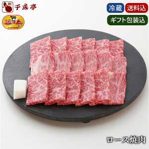 Ε 2025 ~Mtg ߍ]y[X ē Mtg 300gz݁ba     Ε v[g j j