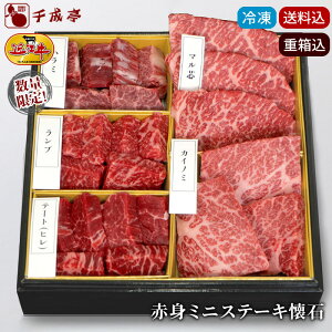 Ε 2025 ~Mtg ߍ]yԐg~jXe[L Ⓚz݁ba    Ε v[g j j