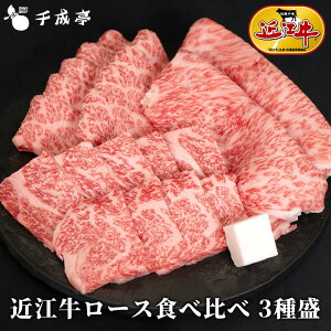 uߍ][XHה 3퐷v500g Ă Y a ēp  u[X Uug T[C o[xL[ Zbg uh   O Mtg v[g  j 