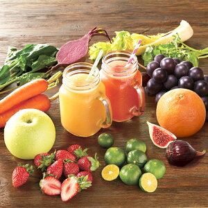 yΕ̂ΉzyΕ zJS@ؐ100SmoothieMtg@nʎ̂Ƃ낯X[W[@YSG-30S