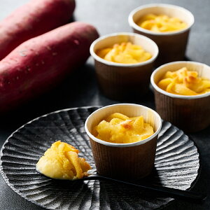 yΕ̂ΉzyΕ zF{܁@Ƃ낯qĂXC[g|eg@SIH-001