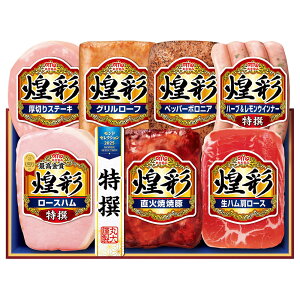 yΕ̂ΉzyΕ zۑHi@ʁ@MV-537@MV-537