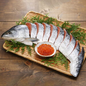 yΕ̂ΉzyΕ zkC@ѐVƂ@MS-06EEI