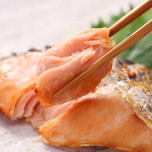 yΕ̂ΉzyΕ zkC@ѐV@p؂g@MS-016CE