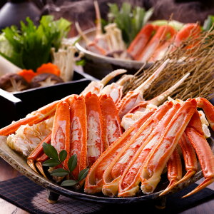 yΕ̂ΉzyΕ z{C{킢Ɂ@800KHS