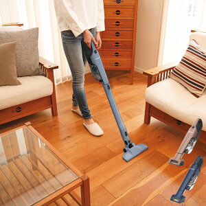 Shark V[N@[dTCNXeBbNN[i[@CH966JbƓd |@ v[g Mtg 蕨