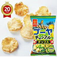 ゴーヤチャンプルチップス【沖縄 お土産】｜沖縄土産 沖縄ご当地 スナック菓子 沖縄食品 帰省土産 お取り…