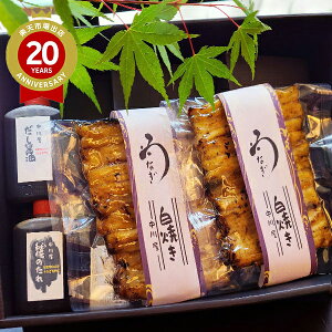 うなぎ 鰻 国産 濱松うなぎ中川屋 白焼き 2枚|浜松 ウナギ お取り寄せグルメ