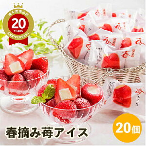 ACXN[ tE䕃ACX 20 AH-HAAbMtg XC[c fU[g ACX lߍ킹