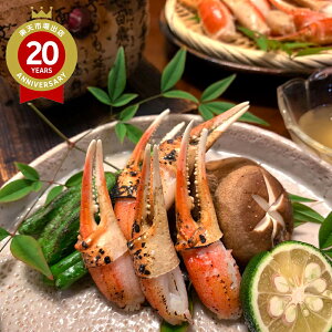 킢 Jj v1kg ⓀbYCKj 킢I ܓ CN 񂹃O