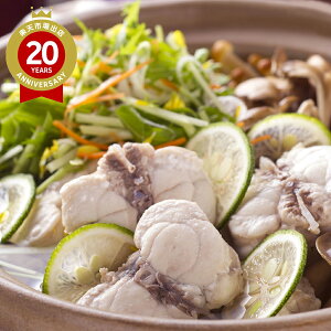 VRӂZbg 2`3lO Ⓚb ӂ tO  O 