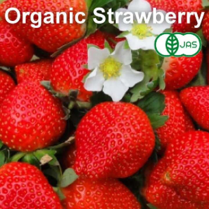 正規通販 有機 JAS オーガニック 冷凍 ストロベリー いちご 苺トルコ産 砂糖不使用 化学物質不使用 Certified Organic Frozen Strawberries awexomelabs.com