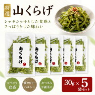 【M354】特選山くらげ カット 30g×5 150g 乾燥 茎レタス ステムレタス コリコリ食感 業務用 中華食材 前…