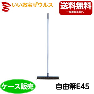 RYƁ@RhRE45@20{C271-000U-MBmP[X̔n(ꕔn揜)