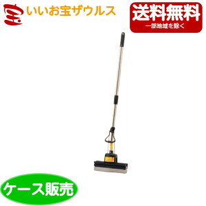 �R��Y�Ɓ@�R���h��PVA�X�|���W���C�p�[GR-WET�@10�{WI580-000N-MB�m�P�[�X�̔��n��������(�ꕔ�n�揜��)
