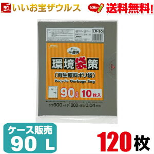 S~܁@90L@O[y0.040mmz120(10×12)܍iĐ|܁jmP[X̔n(ꕔn揜)WpbNX LR90