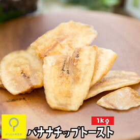バナナチップトースト 1kg / おつまみ研究所