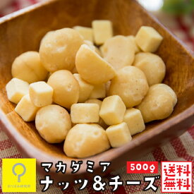 マカダミアナッツ＆チーズ 500g / 業務用 おつまみ研究所