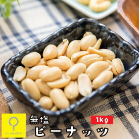 無塩ピーナッツ 1kg / おつまみ研究所