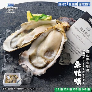 11��9:59���|�C���g&�N�[�|���z�z���I���H�p �k�t�� �^���y ���R�� �����Y�w�������B�[�i�X�I�C�X�^�[�x�y12��/24��/36��/48�z30�X�܂̃I�C�X�^�[�o�[��W�J����[�l�����E�I�C�X�^�[ ������