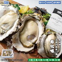 生食用 殻付き 岩牡蠣 長崎県 五島列島産『椿』 (約160〜200g/個) S【6個/8個/12個/16個/24個】特許取得済 海洋深層水…