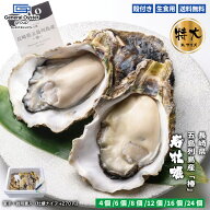 生食用 殻付き 岩牡蠣 長崎県 五島列島産『椿』超特大 3Lサイズ（約300g以上～/個）【4個/6個/8個/12個】…