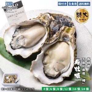 ���H�p �k�t�� �≲�y ���茧 �ܓ��񓇎Y�w�ցx������ 3L�T�C�Y�i��300g�ȏ�`/�j�y4��/6��/8��/12�z�����擾�� �C�m�[�w���ŏ򉻂��ꂽ���S�E���S�Ȑ����y �y�R��E���������i���y�i�C�t