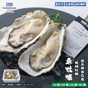 生食用 殻付き 真牡蠣 岩手県 釜石産『尾崎牡蠣』【12個/24個/36個/48個】特許取得済 海洋深層水で浄化された安心・安…