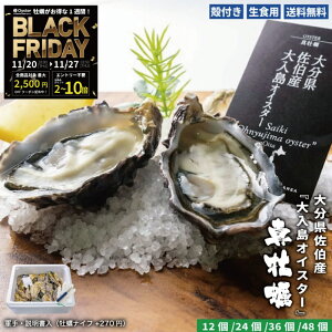 279:59|Cg&N[|zzIyy-1GPW܁zHp kt ^y 啪 YwICX^[xy12/24/36/48z擾 Cm[wŏ򉻂ꂽSESȐy