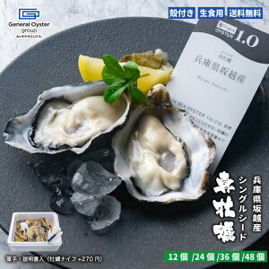 279:59|Cg&N[|zzIHp kt ^y Ɍ zY3{̃VOV[hxy12/24/36/48z擾 Cm[wŏ򉻂ꂽSESȐy yRE