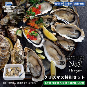 279:59|Cg&N[|zzIHp kt ^yő4Yn wNX}XʃZbgxy12/18/30/48/64z Cm[wŏ򉻂ꂽSESȐy yREi