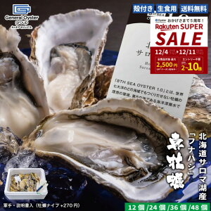 Hp kt ^y kC T}ΎYwtinVxy12/24/36/48z擾 Cm[wŏ򉻂ꂽSESȐy yREiyiCt+270~jzŃICX