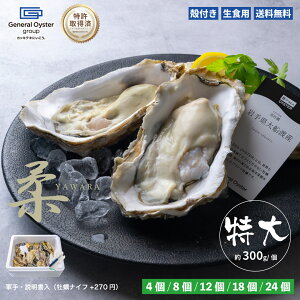 11��9:59���|�C���g&�N�[�|���z�z���I���H�p �k�t�� ����^���y ��茧 ��D�n�Y�w�_�x�i��300g/�j�y4��/8��/12��/18��/24�z��30�X�܂̃I�C�X�^�[�o�[��W�J����[�l�����E�I�C�X�^�[ ������