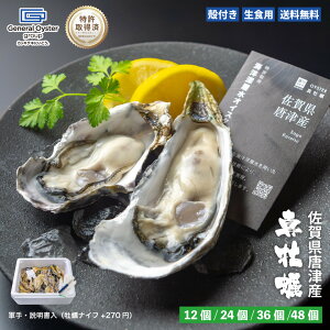 ���H�p �k�t�� �^���y ���ꌧ ���ÎY�y12��/24��/36��/48�z�����擾�� �C�m�[�w���ŏ򉻂��ꂽ���S�E���S�Ȑ����y �y�R��E���������i���y�i�C�t+270�~�j�z�������ŃI�C�X�^�[�o�[ �① ��