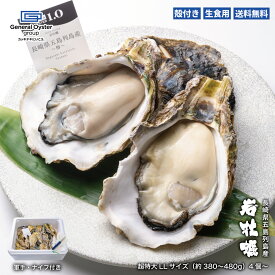 生食用 殻付き 岩牡蠣『椿』超特大LLサイズ（約380g～480g/個）【4個/8個/12個/16個/24個】長崎県 五島列島産 特許取得済！海洋深層水で浄化された安心・安全なゼネラル・オイスターの生牡蠣 【軍手・牡蠣むきナイフ・説明書入】牡蛎 冷蔵 ギフト プレゼント父の日 お中元