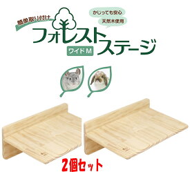 シンプルでレイアウトしやすい横長ステージ2個セット！フォレストステージ ワイドM×2個セット[三晃商会]