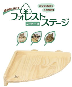 ``AAfO[AV}XAK㉺^DޏQ[WɁItHXgXe[W R[i[M[OW]