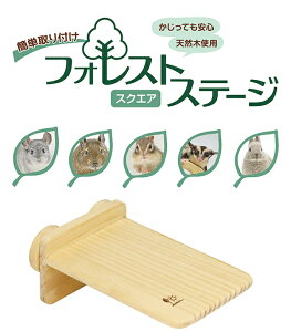 ``EEeO[EKEV}Xg̗ǂAЖʐݒũXe[WBtHXgXe[W XNGA[OW]