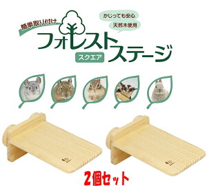 2�Z�b�g�I�`���`���E�������E�e�O�[�E�������K�E�V�}���X���Жʐݒu�̃X�e�[�W�B�t�H���X�g�X�e�[�W �X�N�G�A×2�Z�b�g[�O�W����]